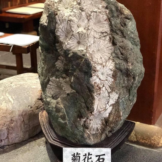 福岡分店札幌螃蟹本家‼️‼️日本🗾另一人氣蟹店😍