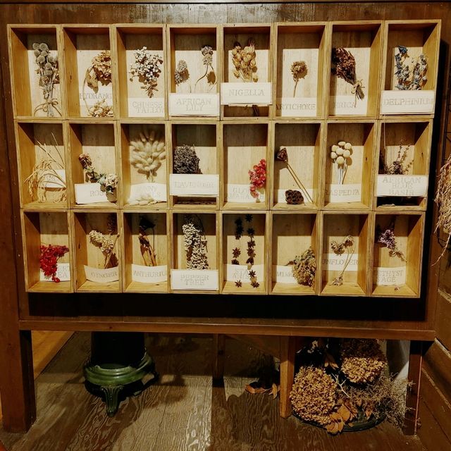 雨の日も楽しい！神戸布引ハーブ園　温室展示「ハーブのある暮らし」