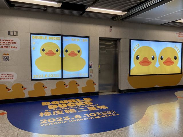 《🐤期間限定黃鴨主題車站🚇》