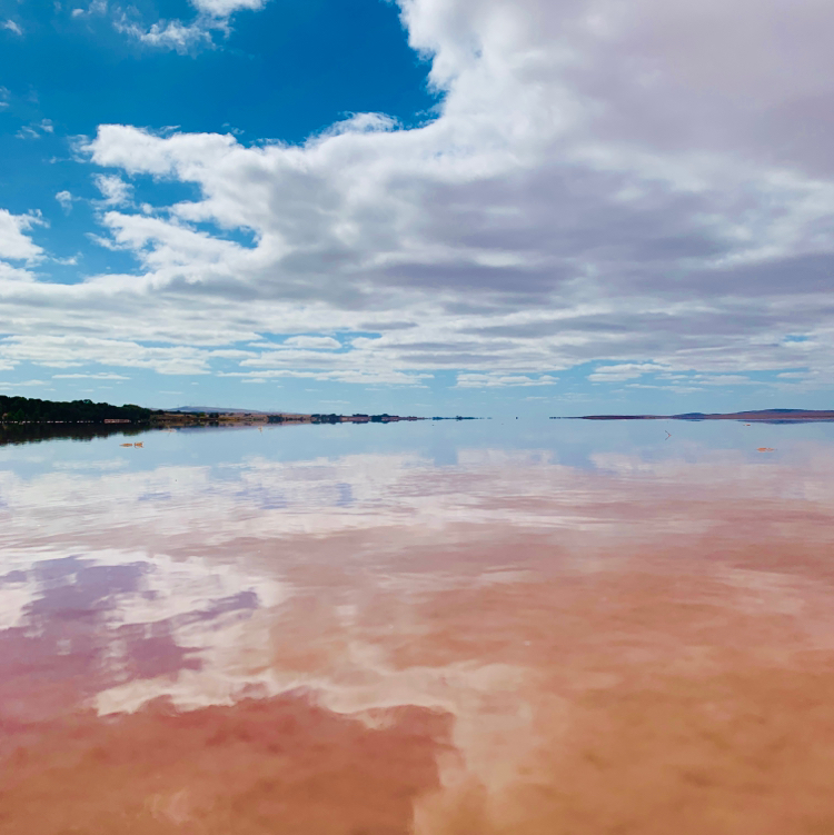 Port Wakefield Travel Guide 2024 Things to Do, What To Eat & Tips