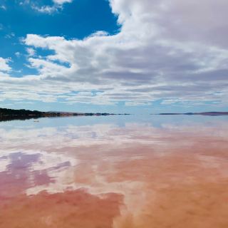 Spot the 🐉 in the pink lake!