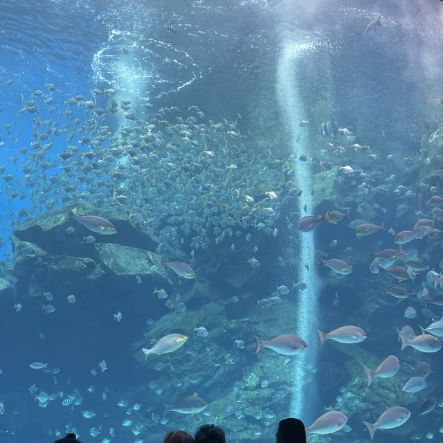 Xpark水族館