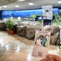 亞洲最大型水族館-沖繩美麗海水族館