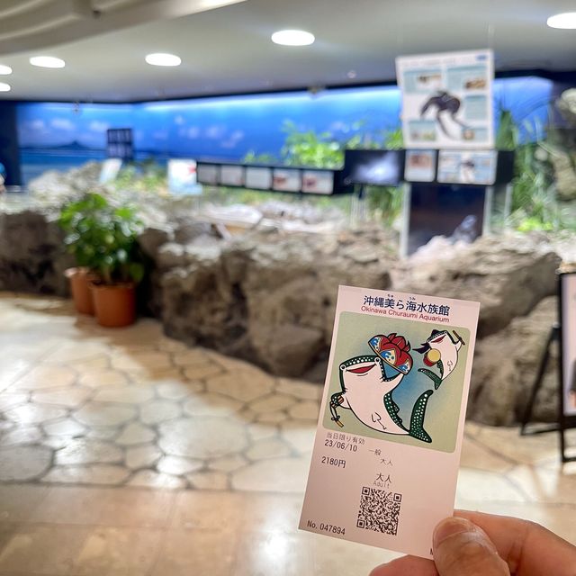 亞洲最大型水族館-沖繩美麗海水族館