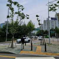 두근두근여름휴가 서울 둘레길 8코스 