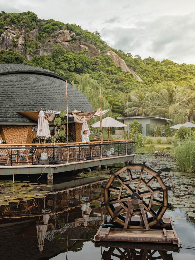 คาเฟ่ดีไซน์น้องเต่าที่หัวหิน 🐢 Turtle Bay Hua Hin