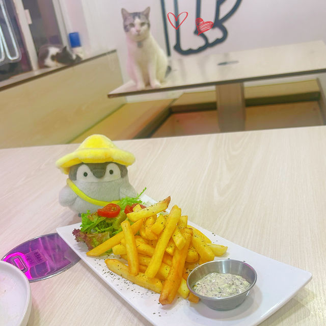 Many Mo Cafe Many Mo Cafe