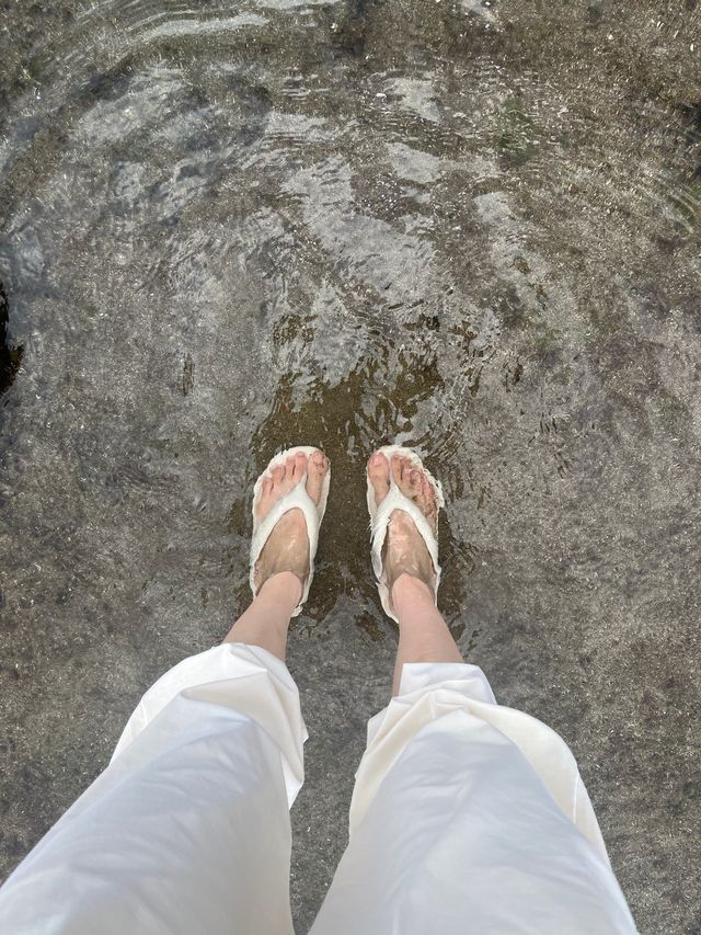 성산일출봉 뷰로 예쁜 사진 찍을 수 있는 해변 : 광치기 해변