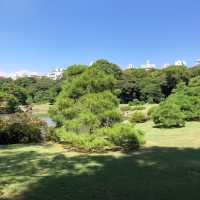 東京自由行，體驗東京都景點風情，豐富美食料理