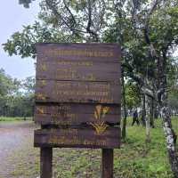 ผาสุดแผ่นดิน จ.ชัยภูมิ