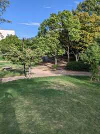 【秘密基地な公園】尼崎の元浜緑地公園