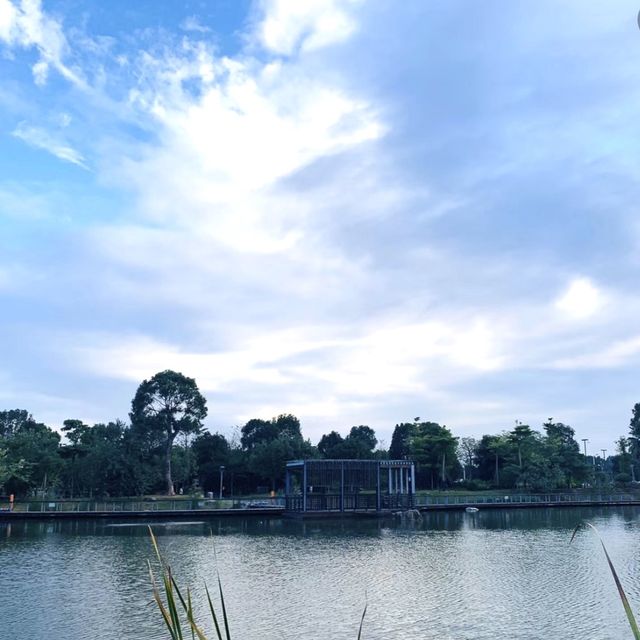 湖畔漫步🌳🏞️台北碧湖公園💎