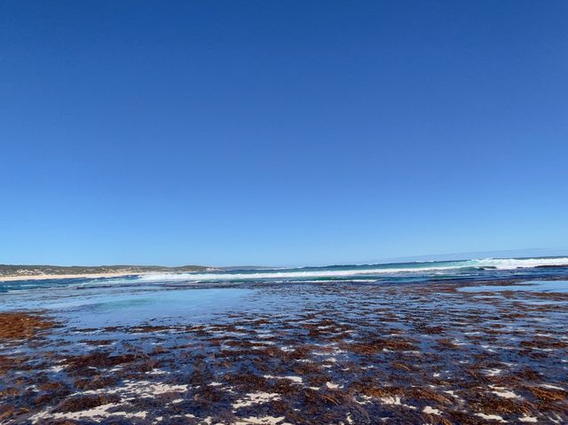 Margaret River Clear Sky and Blue Sea!😎