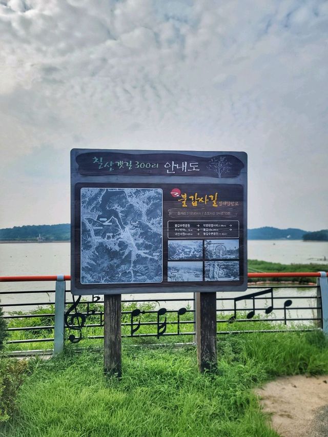 불갑저수지 보며 힐링하는 영광여행코스🩵