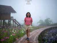 ไร่ภูผาหมวก.. เชียงดาว จ.เชียงใหม่
