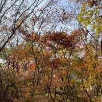 서울 가을 단풍 명소, 은평 한옥마을과 둘레길