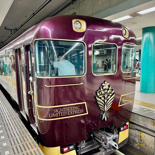 【奈良】古の都をつなぐ観光列車！特急あをによしに乗ってみた
