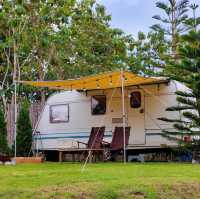 🏕️หนาวนี้ไป เลอ ฟอเรสต์ แนวแคมปิ้งจังหวัดระยองกัน