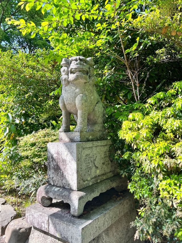 【小田原パワースポット】陽の光が心地良い報徳二宮神社