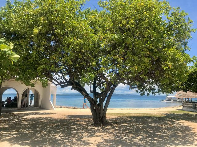 에메랄드 빛 바다가 보고싶다면 Pandanon Beach💙