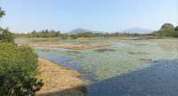 Hong Kong Wetland Park - Wetland and Marshes