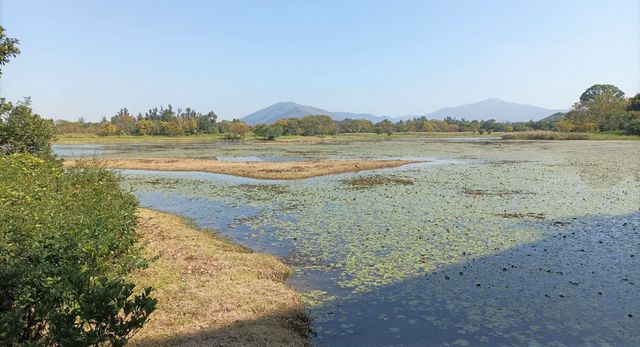 Hong Kong Wetland Park - Wetland and Marshes