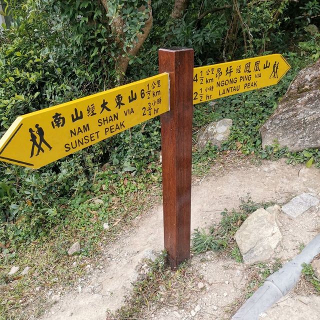 強身健體 強身健體