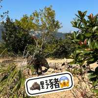 「南朗山」親子👩‍👩‍👧‍👦遊