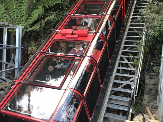 悉尼近郊旅遊景點 ☀️ 藍山國家公園Blue Mountains ☀️