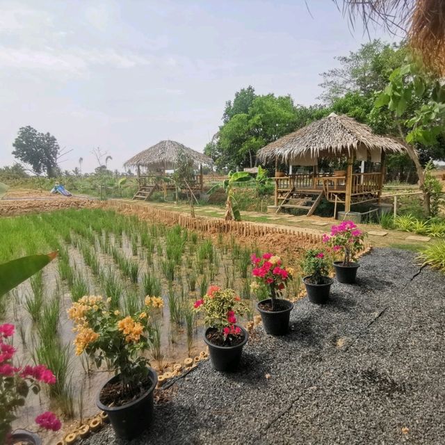 หลบร้อน​ มาผ่อนคลายที่ฟาร์มคาเฟ่​ บุรีรัมย์