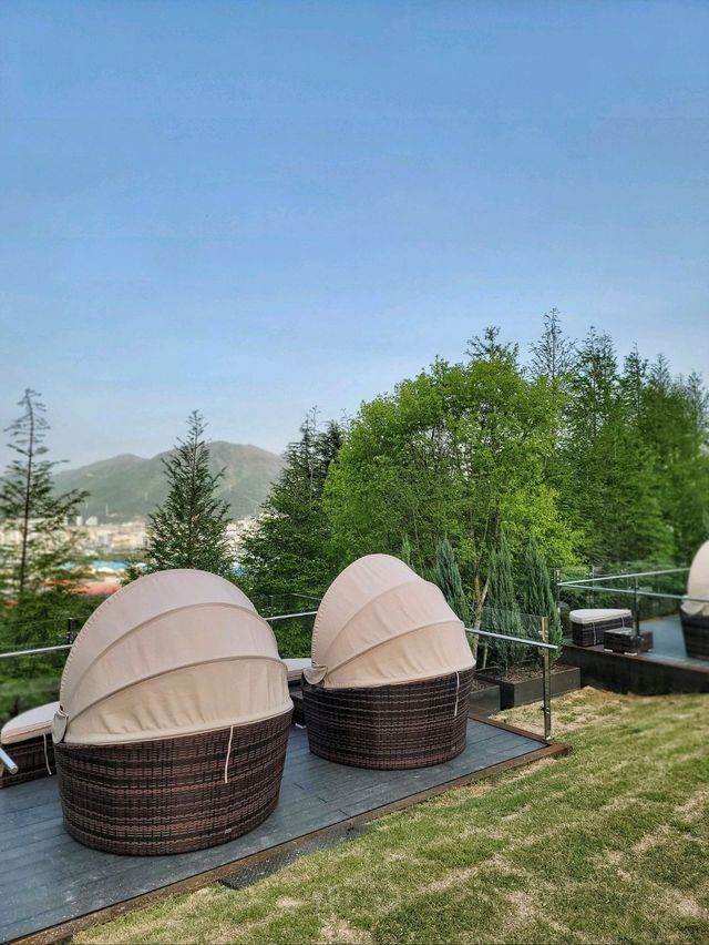 가오픈 끝난 초신상카페, 양산 웅상아덴플러스🌳