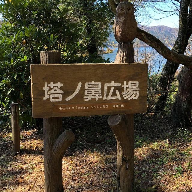 日本🇯🇵輕鬆郊游徑🫶🏻享受大自然☺️森林系旅行🧳