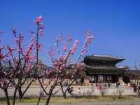 600多年歷史～景福宮
