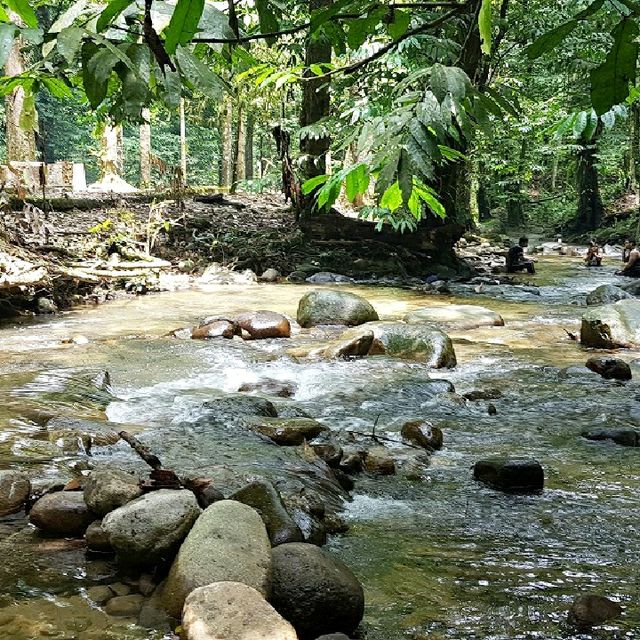 Ecotouria with clear flowing River