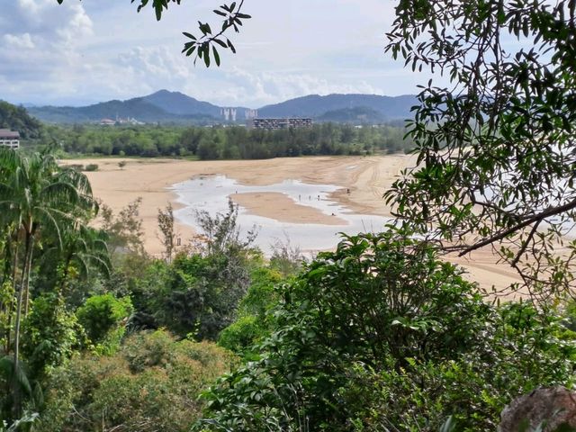 🌳 Superb Nature Walk at Rasa Ria Reserve