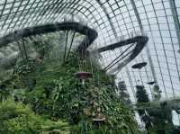 Avatar in Sg!