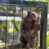 My Papilio ร้านคาเฟ่ชิคๆ ร้านดังประจำอุบล