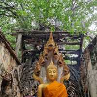 ทำบุญไหว้พระ ใกล้กรุงเทพฯ วัดสังกระต่าย
