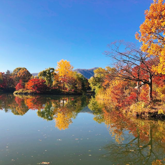 飽覽秋天全貌～札幌 中島公園