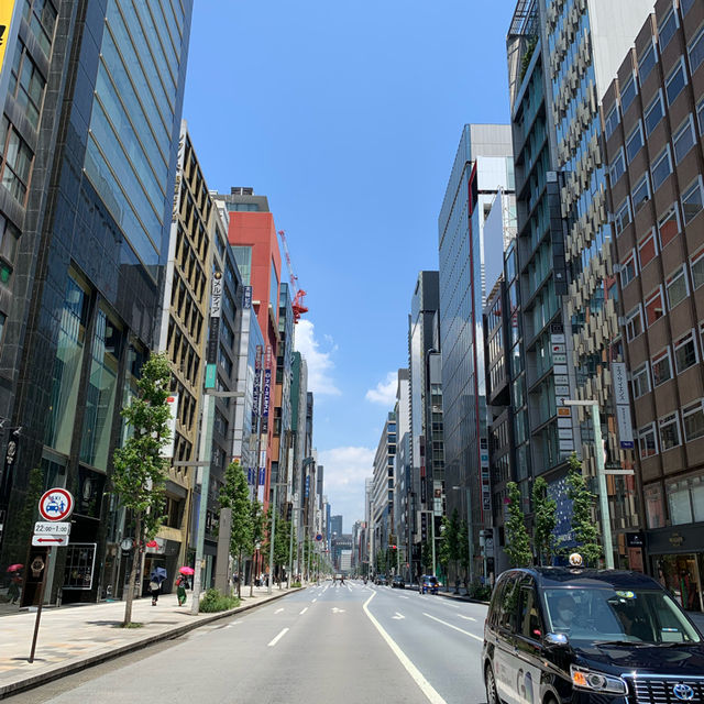 The Enchanting Ginza for Shopping Lovers