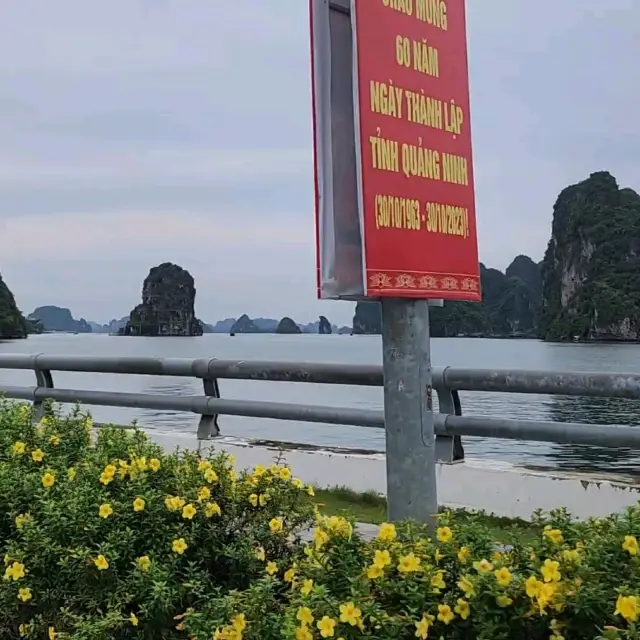 Appreciating Ha Long Bay from inland..