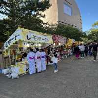 Natsu Matsuri(Summer Festival)🇯🇵🏯✨