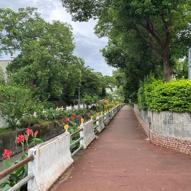 永寧水圳公園🍃