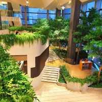 满满的綠色樹木商場SINGHA COMPLEX