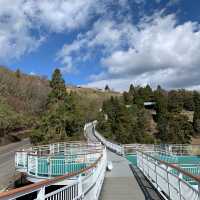 清境農場一日遊：山青水秀的自然樂園