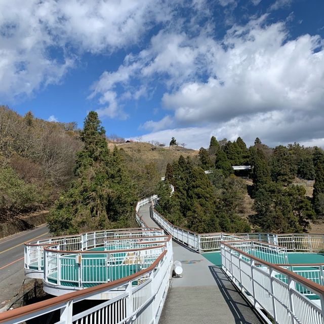 清境農場一日遊：山青水秀的自然樂園