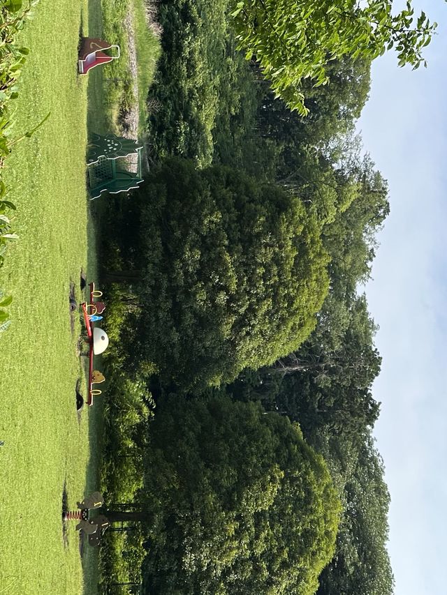 일본 여행🫶🏻