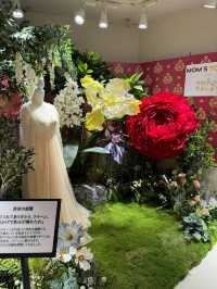 【渋谷】ついに日本上陸！！韓国1400店舗展開マムズタッチ🍗