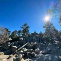 秋日加州大熊湖行山樂👣👨‍🦯🗻