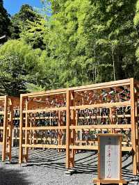 【山形】3羽のうさぎが願いを叶えてくれる熊野大社